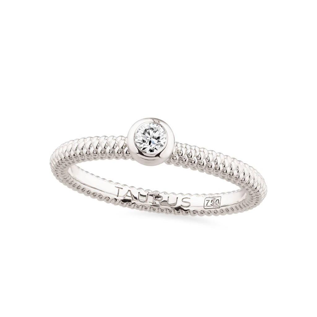 NEVER ENDING STORY Ring with Diamond